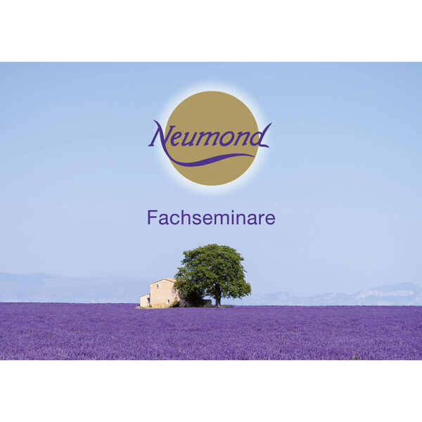 Seminarprogramm, 1St.