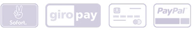Payment Zahlung Icons