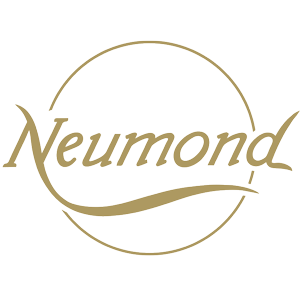 Neumond Favicon